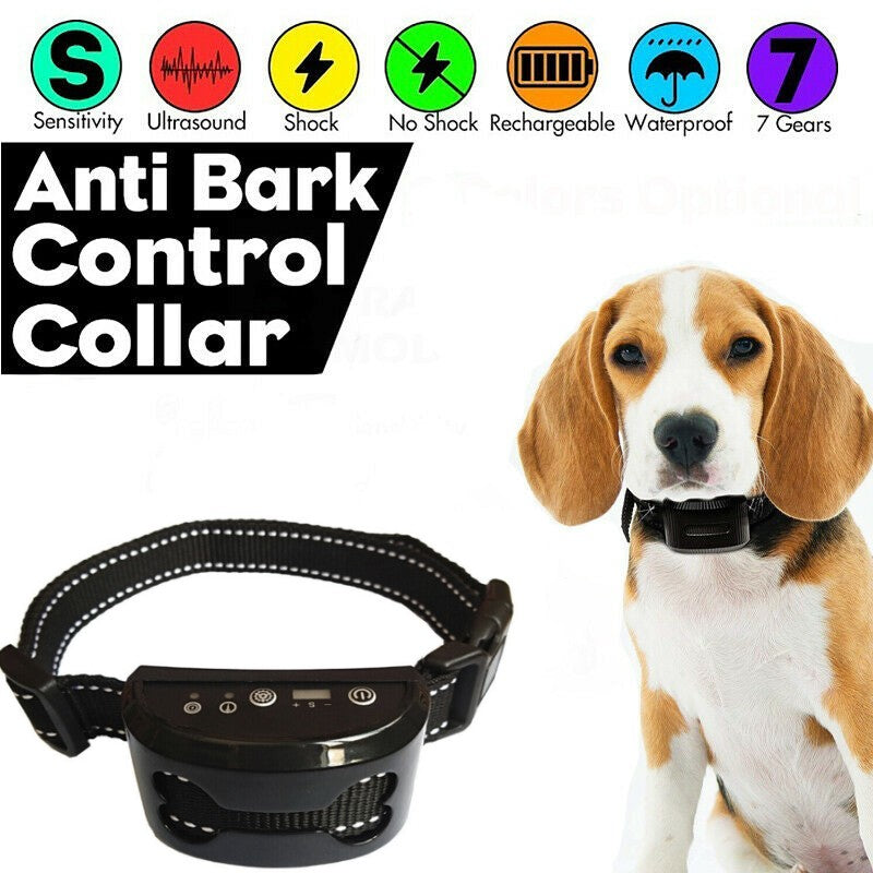 beagle training collars