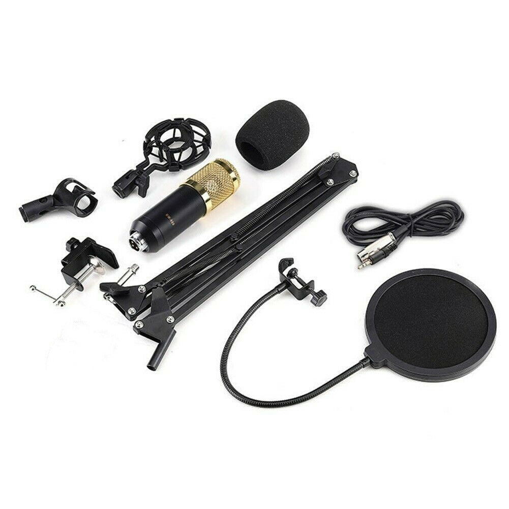 Musical Condenser Microphone For Home Studio Recording Heart-shaped Pointing