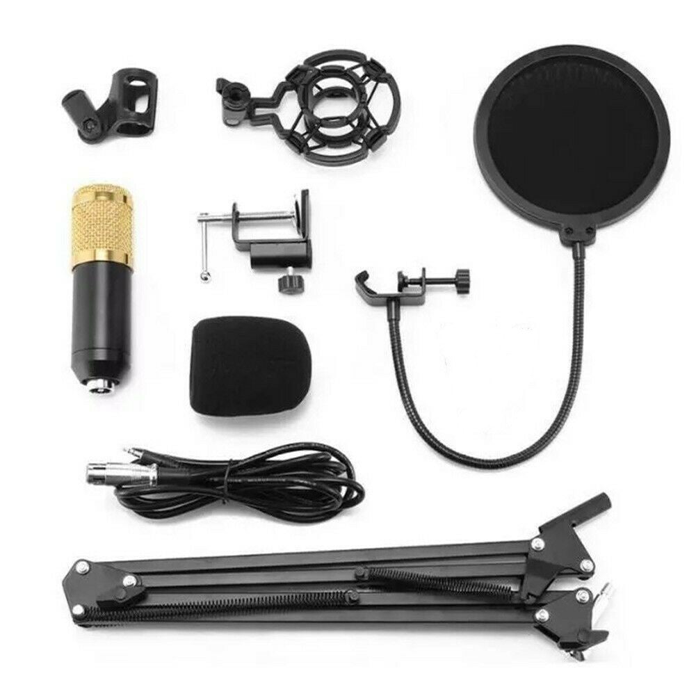 Musical Condenser Microphone For Home Studio Recording Heart-shaped Pointing