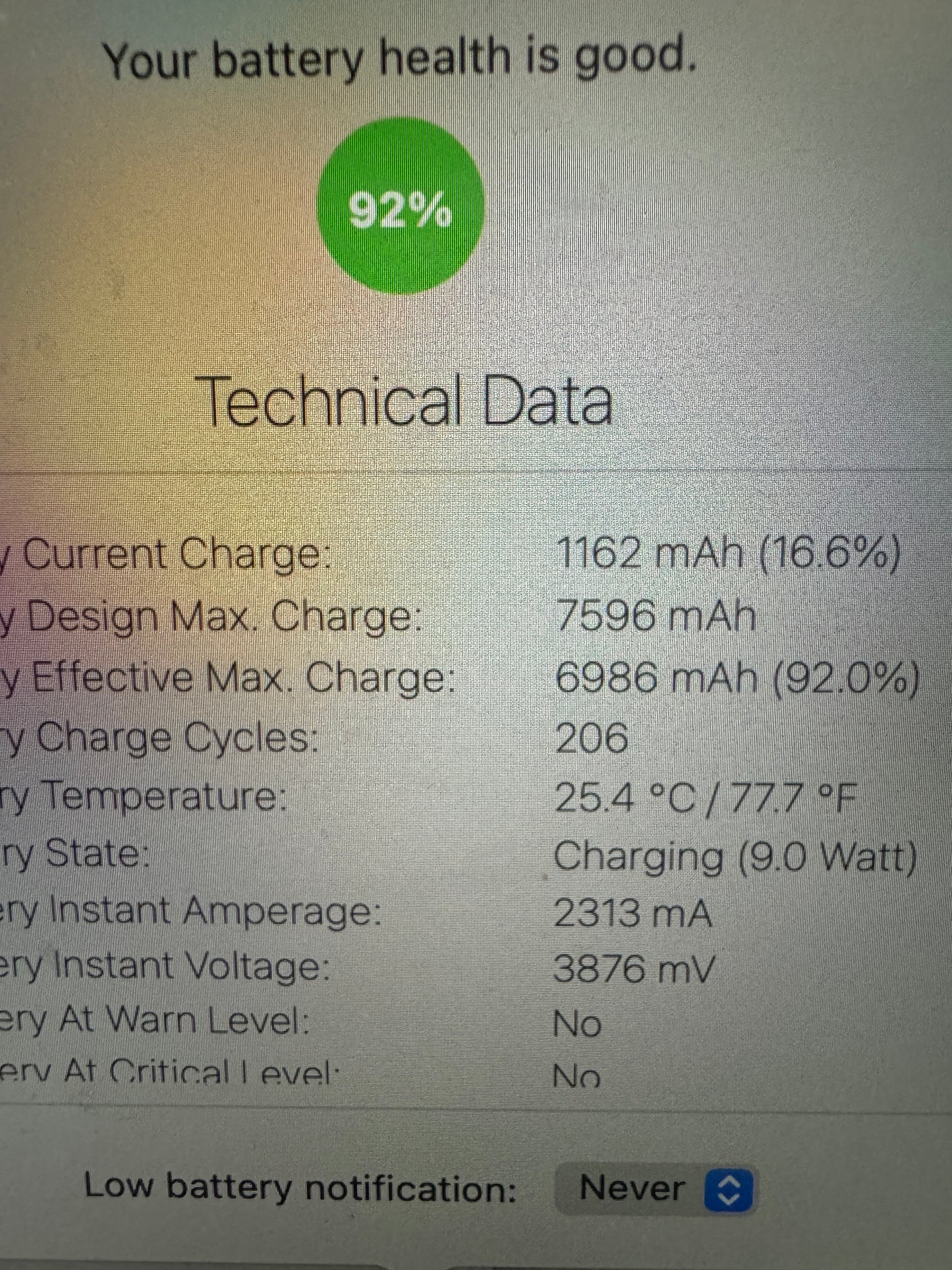 Pristine Apple iPad Pro 11" (Wi-Fi/Cell 3rd Gen) 256GB battery health 100%