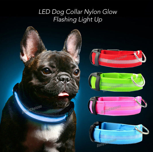 Pet LED Collar SIZE S