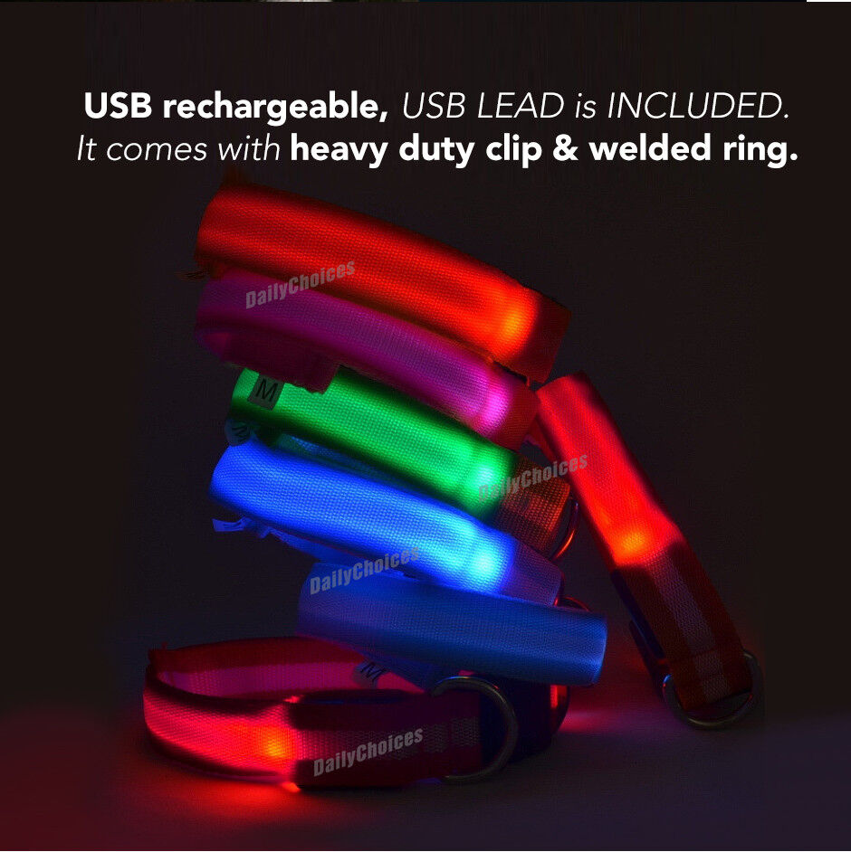 Pet LED Collar SIZE S