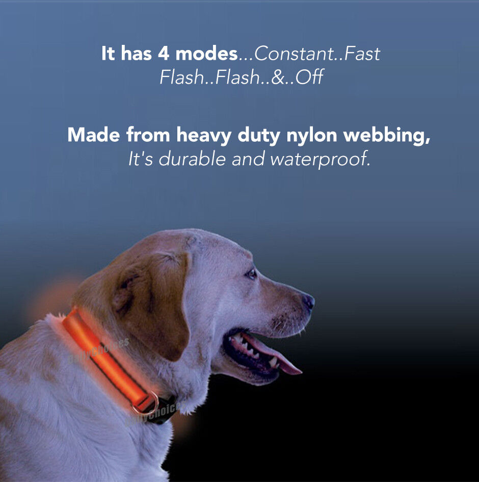 Pet LED Collar SIZE S