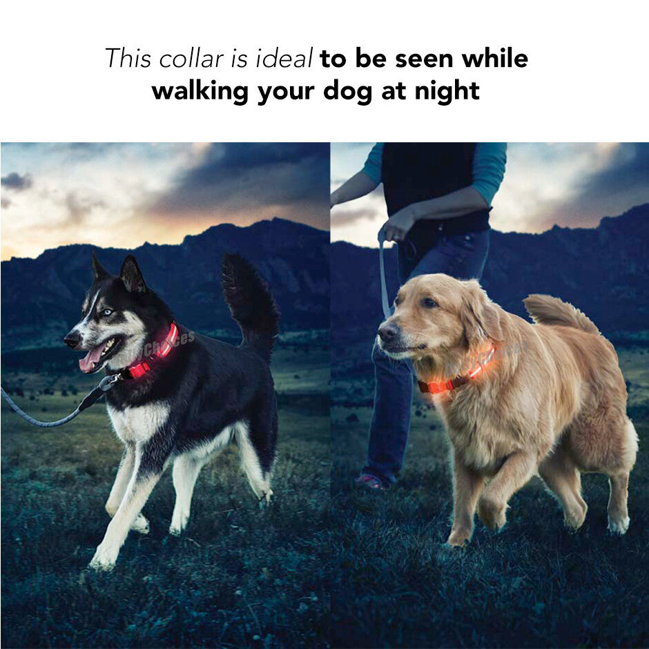 Pet LED Collar SIZE S