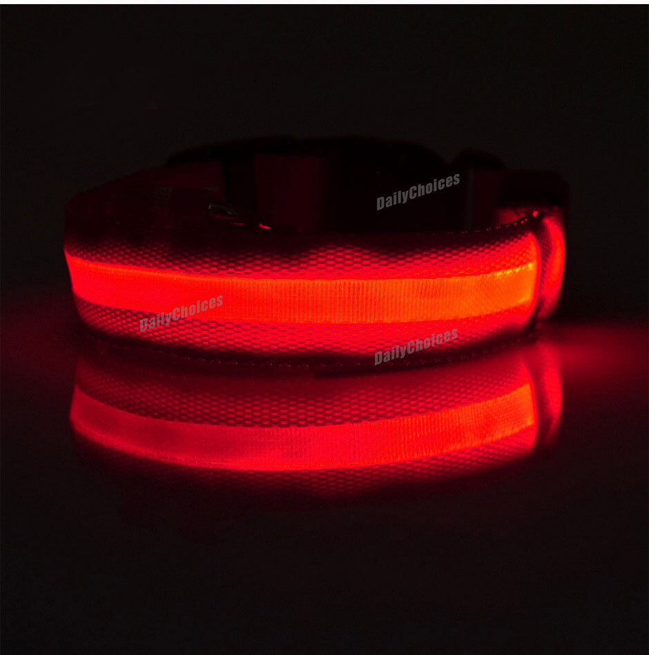 Pet LED Collar SIZE S