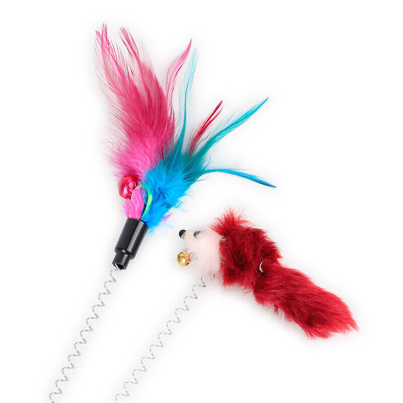 Cat Play Toy Feather Teaser Spring Suction Cup Interactive Stick Kitten Pet Fun