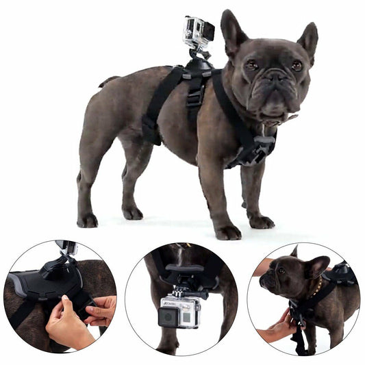 Pet Dog Fetch Harness Chest Strap Belt Mount GoPro Hero 6 4 3+ 3 7Go Pro Camera